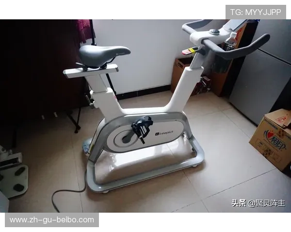 静音椭圆机测评居家健身器材如何实现零噪音高效运动